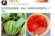 娱乐圈有什么瓜可以吃吗,揭秘明星幕后故事与热点事件