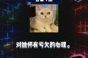 娱乐圈吃瓜综艺,揭秘明星幕后那些事儿